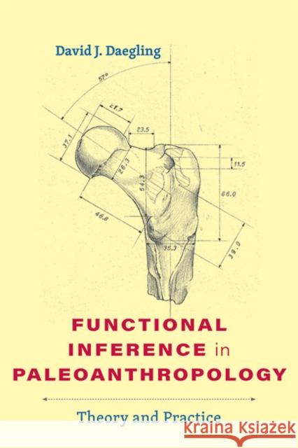 Functional Inference in Paleoanthropology: Theory and Practice David J. Daegling 9781421442945 Johns Hopkins University Press
