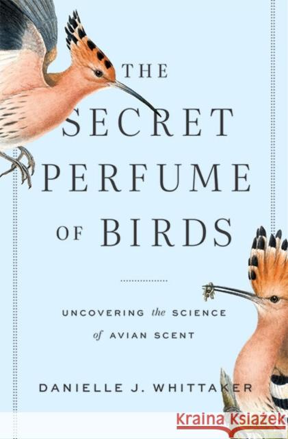 The Secret Perfume of Birds: Uncovering the Science of Avian Scent Danielle J. Whittaker 9781421443478 Johns Hopkins University Press