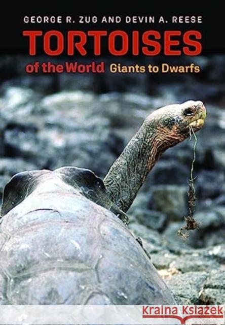 Tortoises of the World: Giants to Dwarfs Devin A Reese 9781421448350 Johns Hopkins University Press