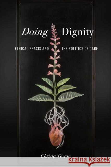 Doing Dignity: Ethical Praxis and the Politics of Care Christa (Vice Chair, Rhetoric, Composition & Literacy Program, The Ohio State University) Teston 9781421448763