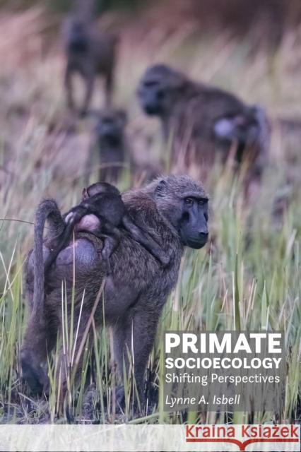 Primate Socioecology: Shifting Perspectives Lynne A. Isbell 9781421448909 Johns Hopkins University Press