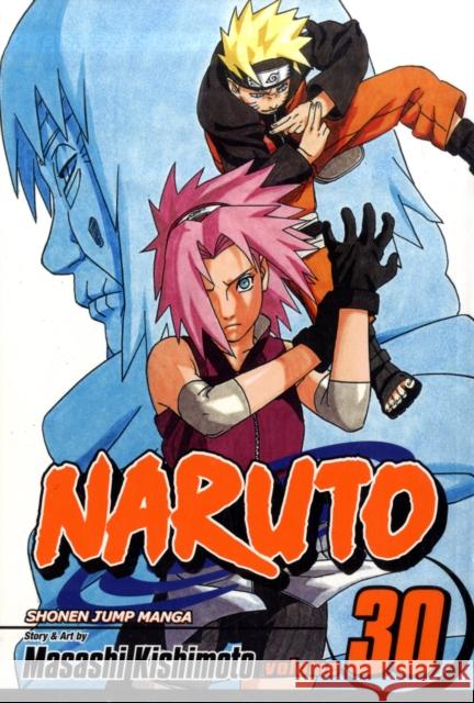 Naruto, Vol. 30 Masashi Kishimoto 9781421519425