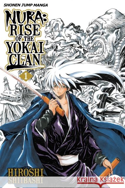 Nura: Rise of the Yokai Clan, Vol. 1 Hiroshi Shiibashi 9781421538914