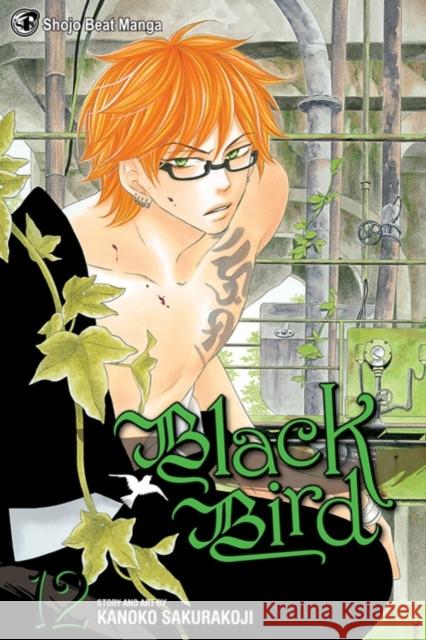 Black Bird, Vol. 12 Kanoko Sakurakouji 9781421540528