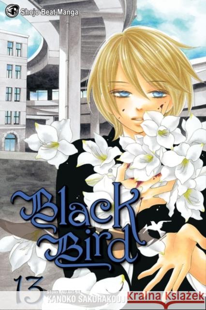 Black Bird, Vol. 13 Kanoko Sakurakouji 9781421541778