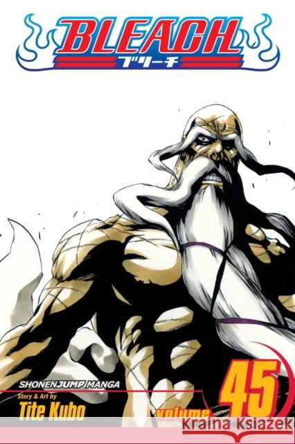 Bleach, Vol. 45: The Burnout Inferno Tite Kubo 9781421542980 Viz Media, Subs. of Shogakukan Inc