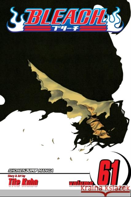 Bleach, Vol. 61 Tite Kubo 9781421573830