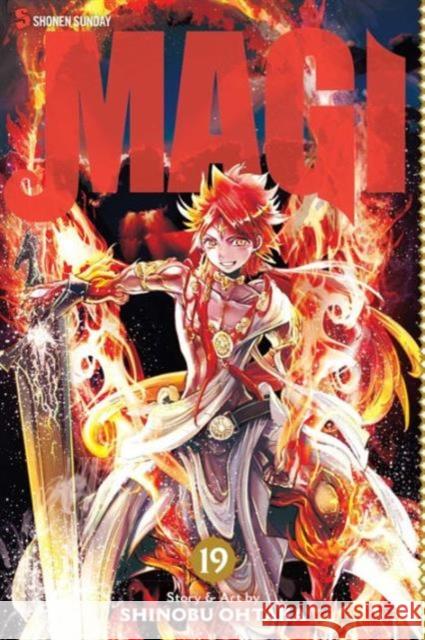 Magi: The Labyrinth of Magic, Vol. 19 Shinobu Ohtaka 9781421583952 Viz Media, Subs. of Shogakukan Inc