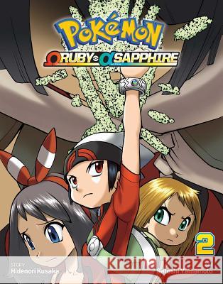 Pokmon Omega Ruby Alpha Sapphire, Vol. 2 Satoshi Yamamoto 9781421590165 Viz Media