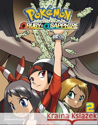 Pokmon Omega Ruby Alpha Sapphire, Vol. 2 Satoshi Yamamoto 9781421590165