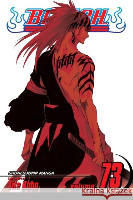 Bleach, Vol. 73 Tite Kubo 9781421594347