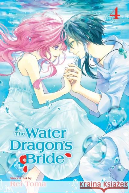 The Water Dragon's Bride, Vol. 4 Rei Toma 9781421595078 Viz Media