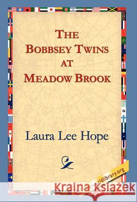 The Bobbsey Twins at Meadow Brook Laura Lee Hope 9781421806532 1st World Library