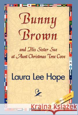 Bunny Brown and His Sister Sue at Christmas Tree Cove Laura Lee Hope 9781421838878 1st World Library