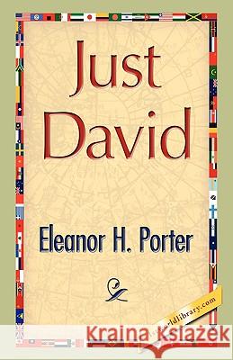 Just David Eleanor H. Porter 9781421893273 1st World Library