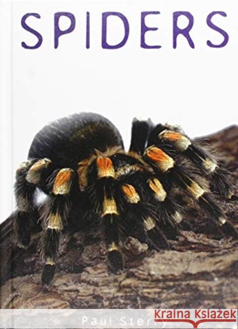 Spiders Paul Sterry 9781422239612