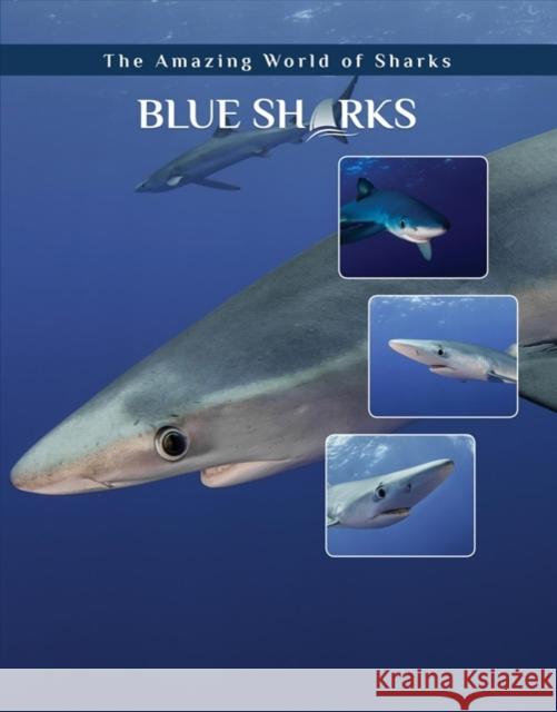 Blue Sharks Elizabeth Roseborough 9781422241226 