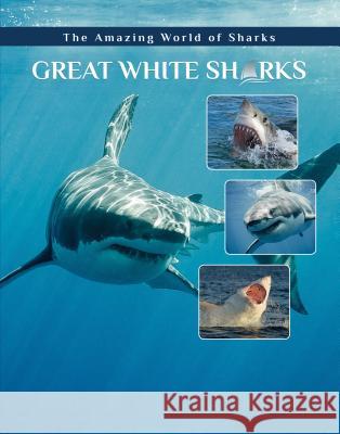 Great White Sharks Elizabeth Roseborough 9781422241264 