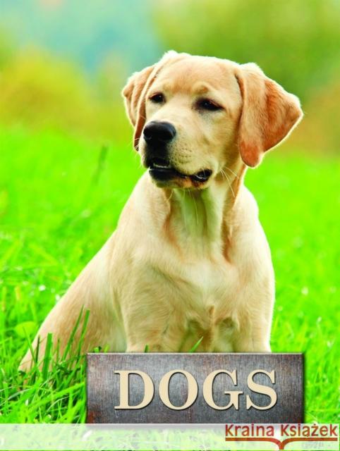 Dogs Marcus Schneck 9781422243152 Mason Crest Publishers