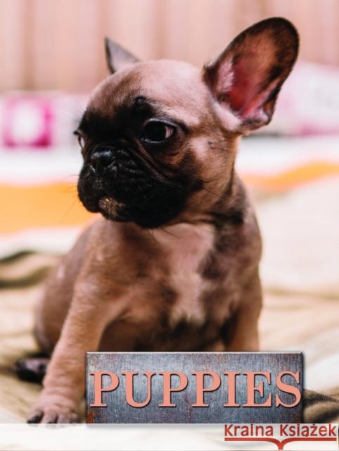 Puppies Marcus Schneck 9781422243183 Mason Crest Publishers