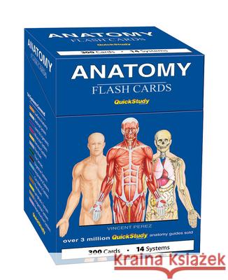 Anatomy Flash Cards: A Quickstudy Reference Tool Perez, Vincent 9781423204237 Barcharts