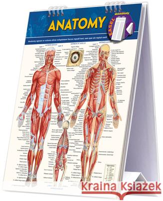 Anatomy Easel Book: A Quickstudy Reference Tool BarCharts Inc 9781423225836