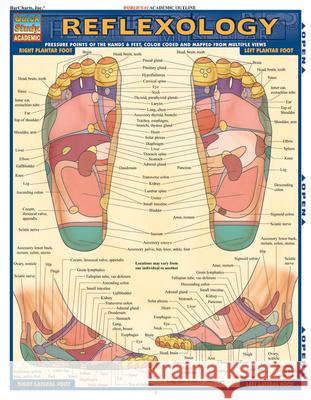 Reflexology BarCharts Inc 9781423228615