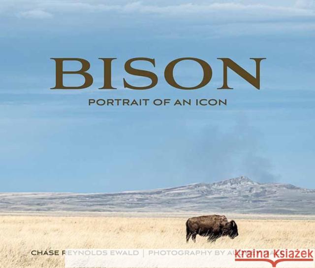 Bison: Portrait of an Icon Audrey Hall Chase Reynolds Ewald 9781423653752 Gibbs Smith
