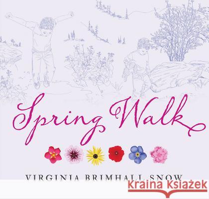 Spring Walk, Paperback Snow, Virginia B. 9781423653936 Gibbs Smith