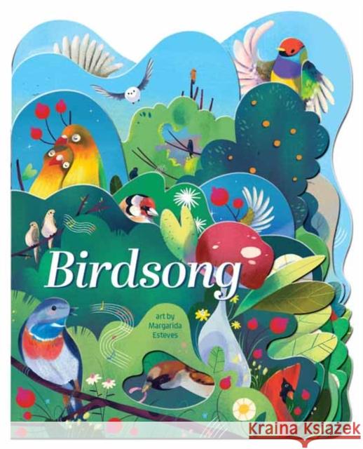 Birdsong Margarida Esteves 9781423667483