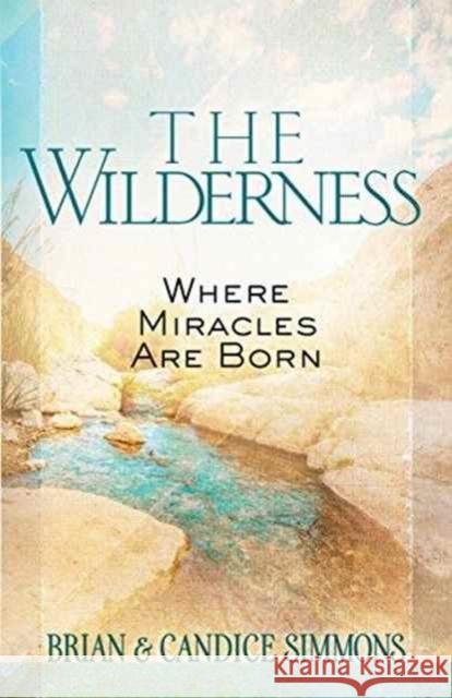 The Wilderness: Where Miracles are Born Brian Dr Simmons, Candice Simmons 9781424551798 BroadStreet Publishing