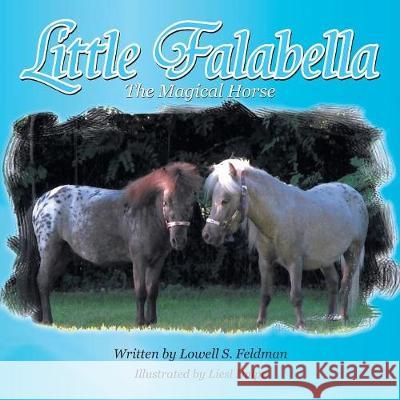 Little Falabella the Magical Horse Lowell S Feldman 9781425718695 Xlibris