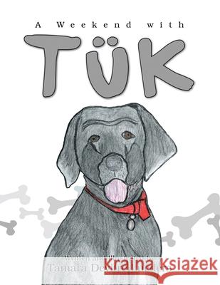 A Weekend with Tuk Tamara Devitre Lueders 9781425730284 Xlibris Us