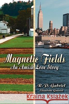 Magnetic Fields R. P. Gabriel 9781425910587 Authorhouse