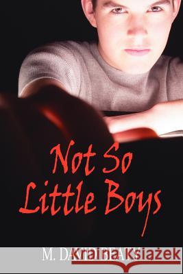 Not So Little Boys M. David Beaty 9781425939618