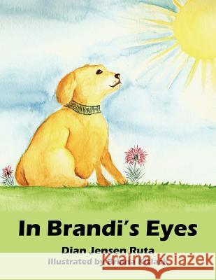 In Brandi's Eyes Diane Jensen Ruta Briana Kislack 9781425946678 Authorhouse