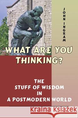 What Are You Thinking?: The Stuff of Wisdom in a Postmodern World Ingram, John 9781425948153 Authorhouse