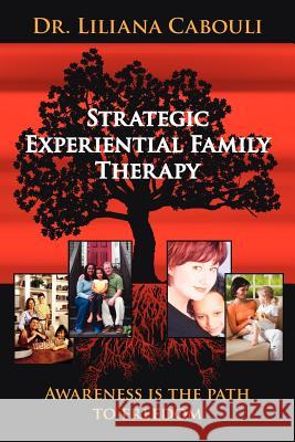 Strategic Experiential Family Therapy Dr Liliana Cabouli 9781425963507