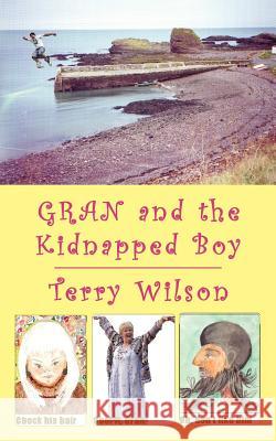 Gran and the Kidnapped Boy Terry Wilson 9781425963835