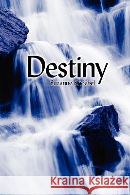 Destiny Suzanne Knoebel 9781425988708