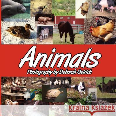 Animals Deborah Oelrich 9781425996130 Authorhouse