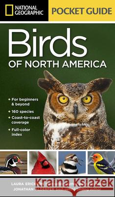 National Geographic Pocket Guide to the Birds of North America Laura Erickson 9781426210440 0