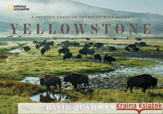 Yellowstone: A Journey Through America's Wild Heart David Quammen 9781426217548