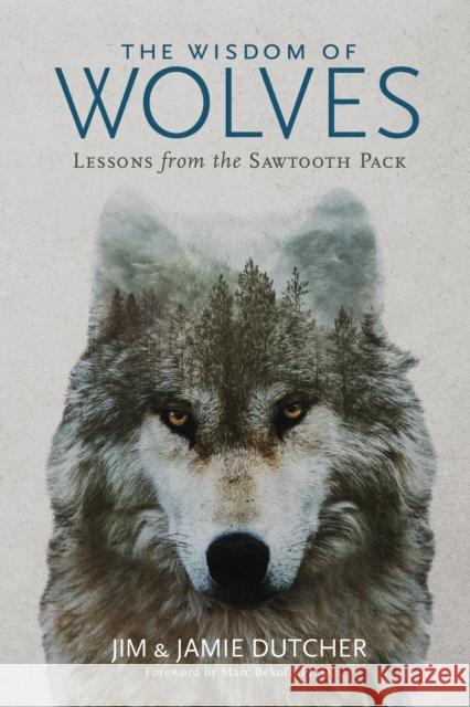 The Wisdom of Wolves: Lessons from the Sawtooth Pack Dutcher, Jim 9781426221804 National Geographic Society