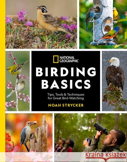 National Geographic Birding Basics: Tips, Tools, and Techniques for Great Bird-watching Noah Strycker 9781426222191 National Geographic Society