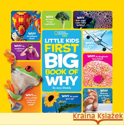 Little Kids First Big Book of Why Susan Magsamen 9781426307935 0