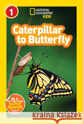 Caterpillar to Butterfly Laura Marsh 9781426309212 National Geographic Society