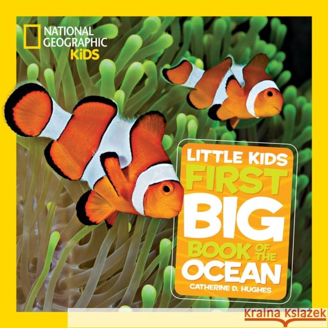 Little Kids First Big Book of The Ocean National Geographic Kids 9781426313684 National Geographic Kids