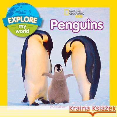 Explore My World Penguins Jill Esbaum 9781426317019 National Geographic Society