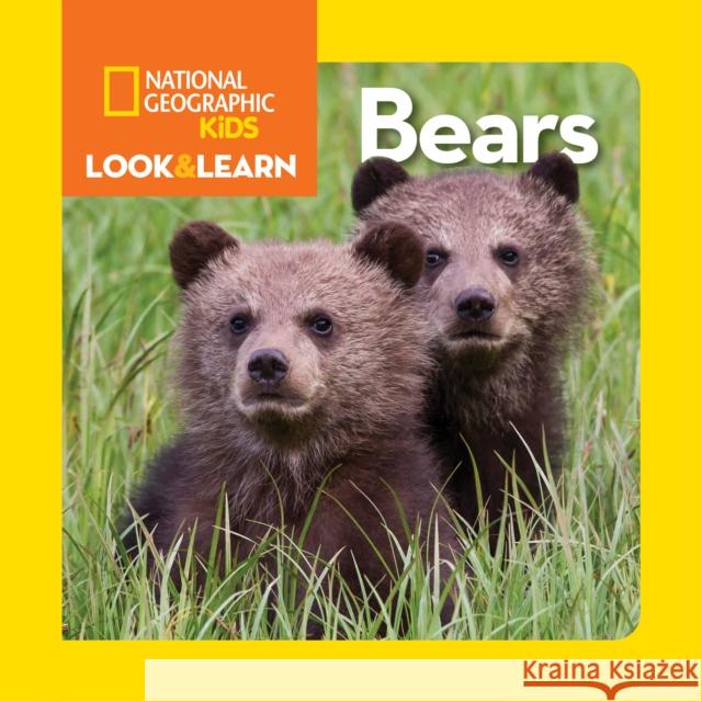 Look and Learn: Bears National Geographic Kids 9781426318757 National Geographic Society